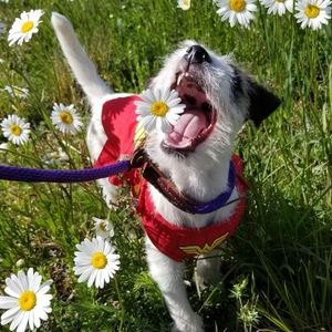 Meet your Posher, Vickie